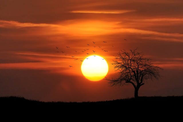 A beautiful sunset showing a calm evening sky, symbolizing weather conditions in the German Weather Vocabulary Quiz.