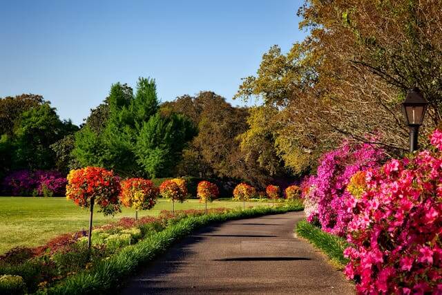 Beautiful garden path with colorful flowers to symbolize themes in the German short story featuring garden vocabulary