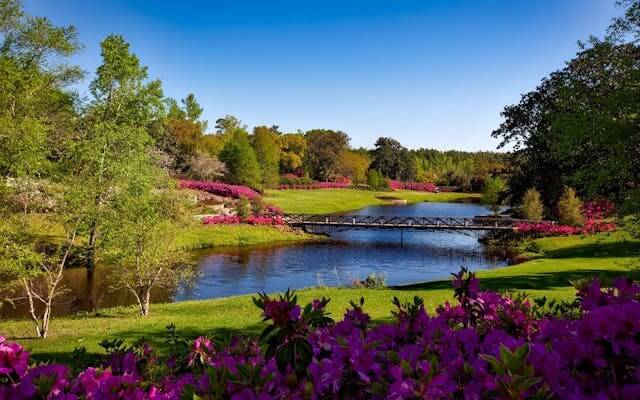 Scenic park landscape for German Months Vocabulary Quiz learning.