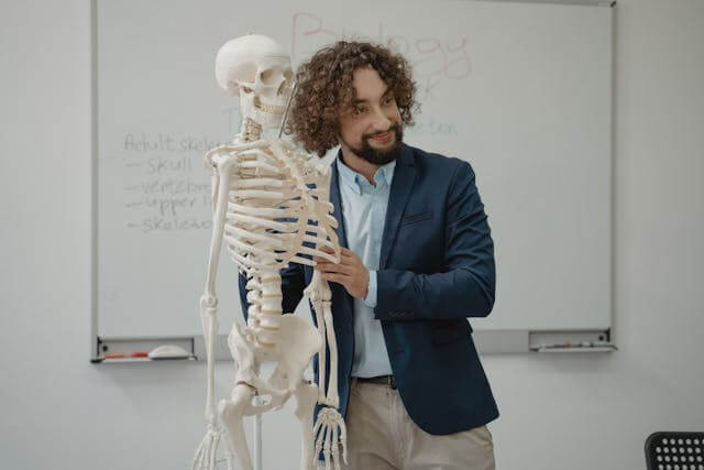 Teacher in a blue suit explaining a human skeleton model, illustrating German Body Parts Vocabulary