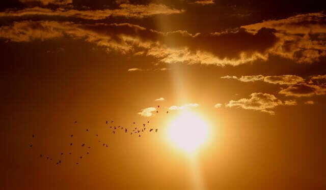 The sun shining through clouds with birds in the sky, symbolising our German Short Story featuring Weather Vocabulary.