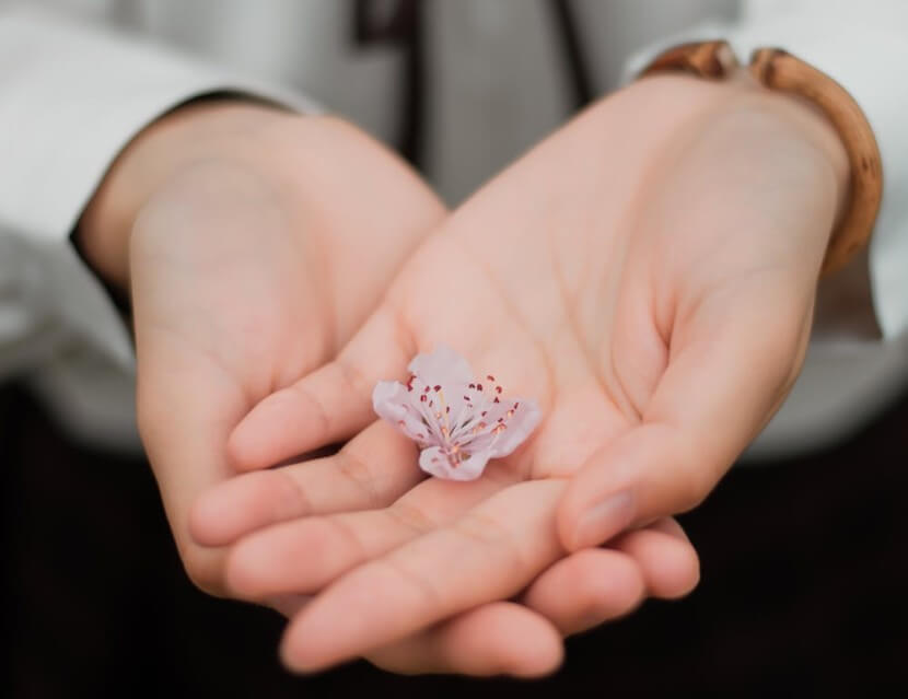 Hands gently holding a small pink flower, symbolizing the word "little" in German language usage.