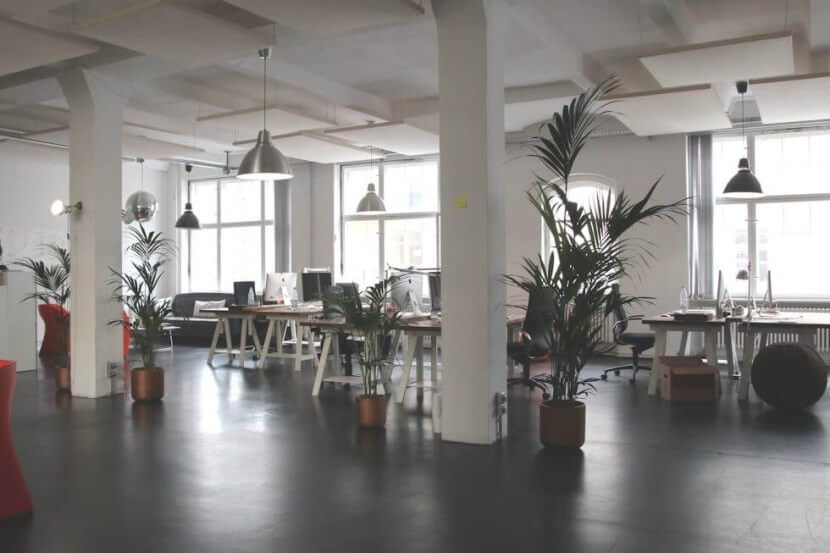 Modern open office space with desks, chairs, and plants for learning German office vocabulary.