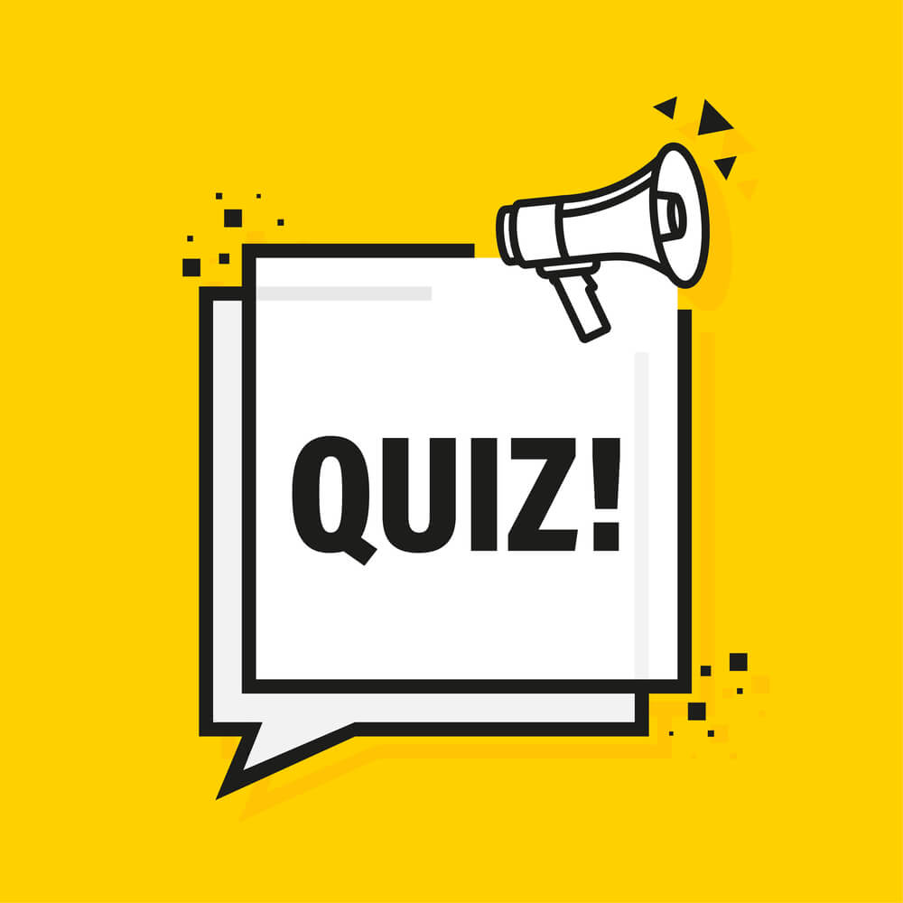 Bright yellow graphic with a megaphone and the word 'QUIZ' representing a German articles quiz