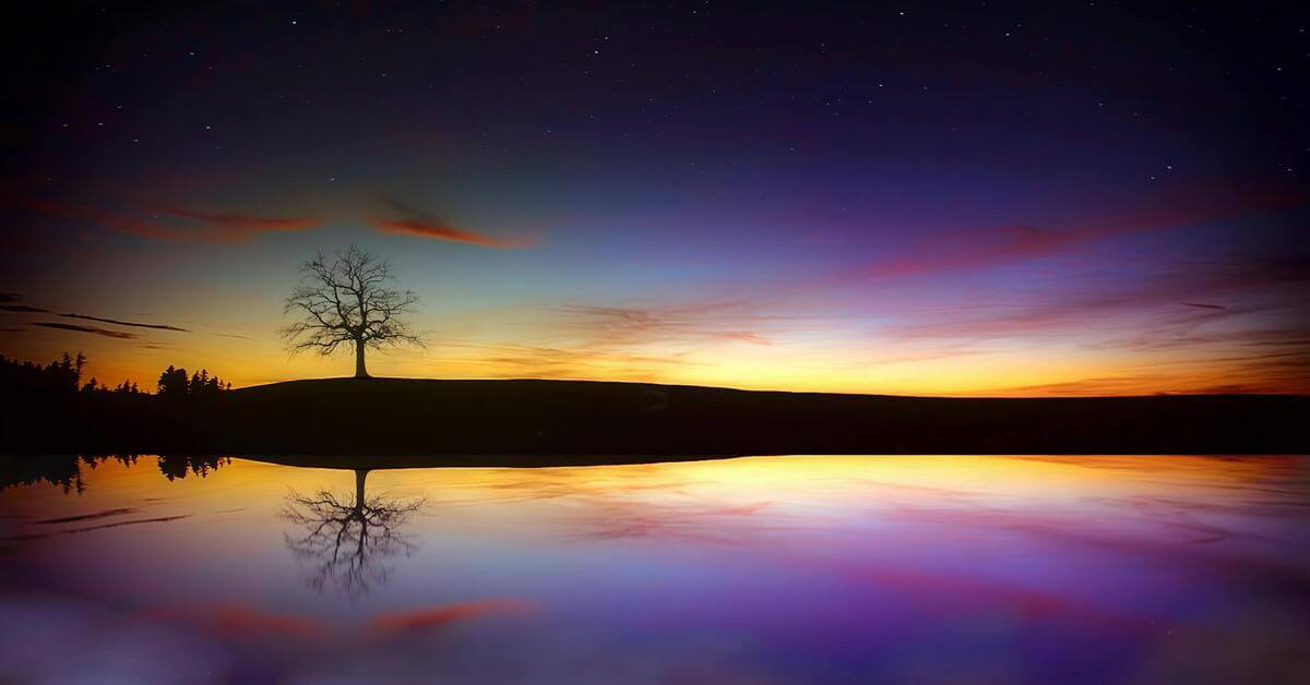 A silhouette of a lone tree on a hill at sunset with a clear reflection in the water below. This is the hero image for an article about the German noun "der Hals" (the neck).